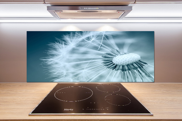 Küchen wandpaneel Löwenzahn