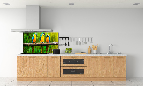 Küchen wandpaneel Papageien auf einem Ast