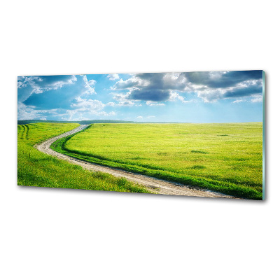 Glasrückwand für die küche Pfad in der Wiese