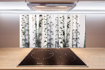 Platte für Küchenrückwand Birkenstämme