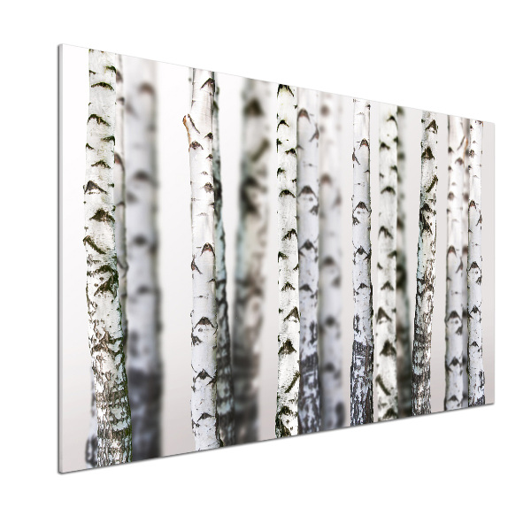 Platte für Küchenrückwand Birkenstämme