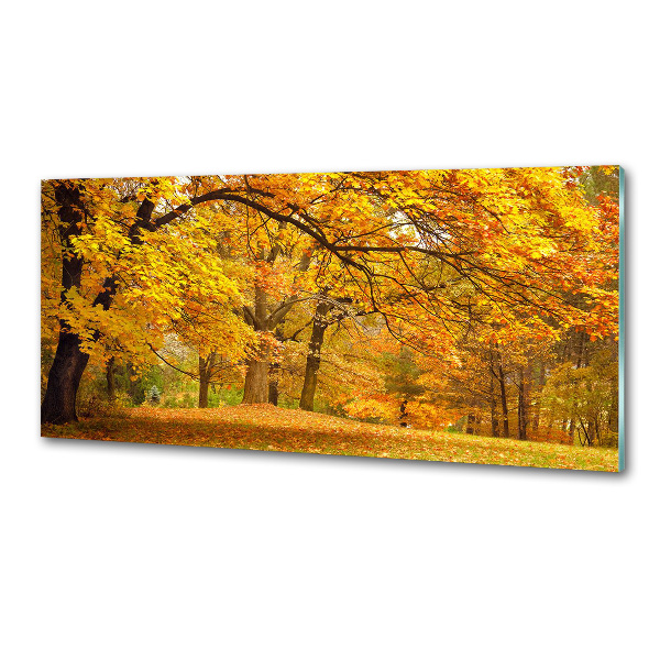 Küchen wandpaneel Herbst im Park