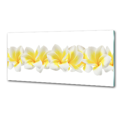 Glasrückwand für die küche Plumeria