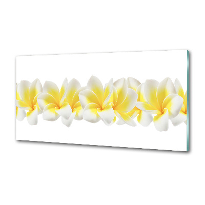 Glasrückwand für die küche Plumeria