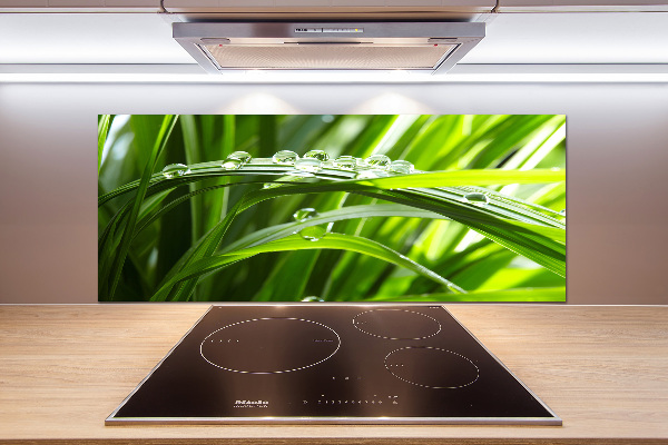 Küchen wandpaneel Tropfen auf dem Gras