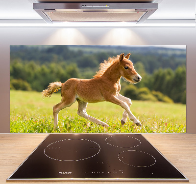 Platte für Küchenrückwand Ein galoppierendes Fohlen