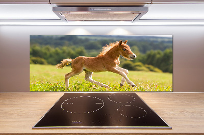 Platte für Küchenrückwand Ein galoppierendes Fohlen