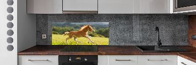 Platte für Küchenrückwand Ein galoppierendes Fohlen