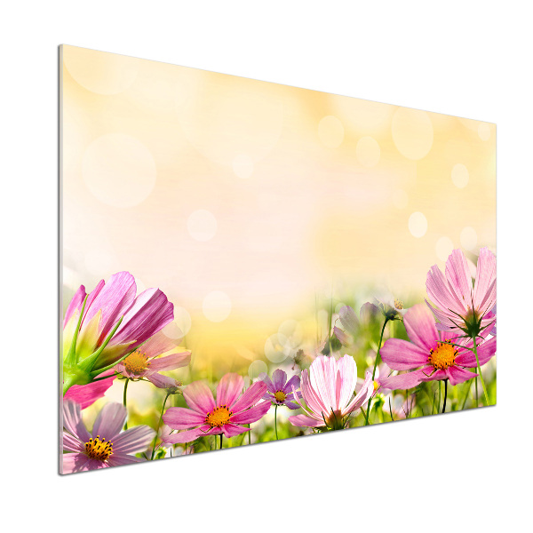 Glasrückwand für die küche Mohnblumen