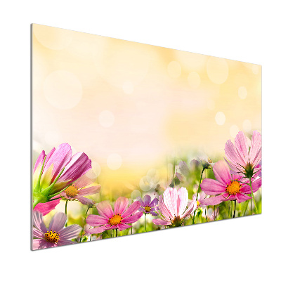 Glasrückwand für die küche Mohnblumen