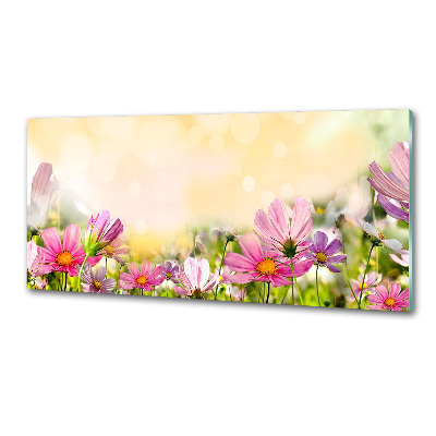 Glasrückwand für die küche Mohnblumen