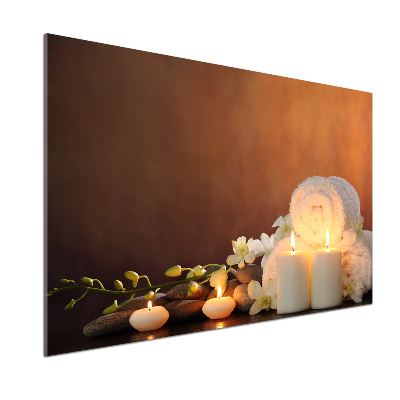 Küchen wandpaneel Biologische Regeneration