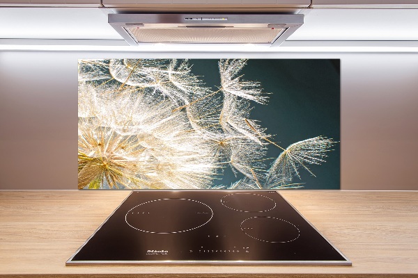 Platte für Küchenrückwand Löwenzahnsamen