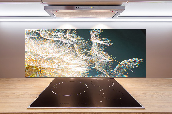 Platte für Küchenrückwand Löwenzahnsamen