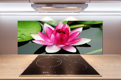 Küchen wandpaneel Seerose