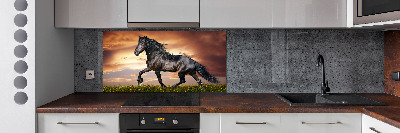 Küchen wandpaneel Trabpferd