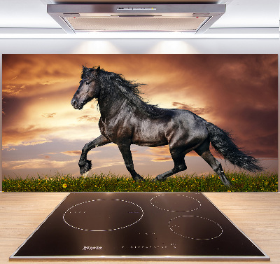 Küchen wandpaneel Trabpferd