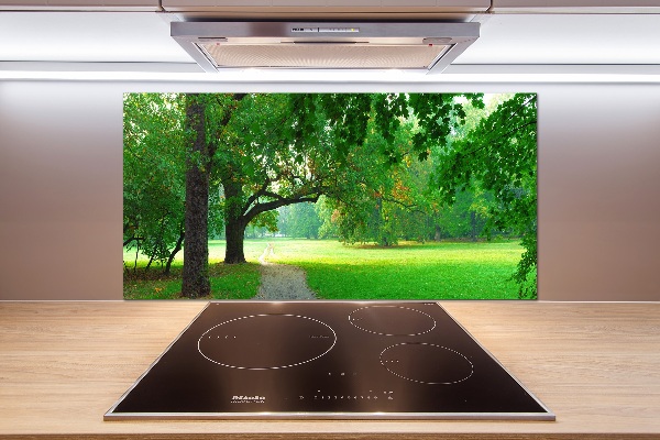 Glasrückwand für die küche Park im Herbst