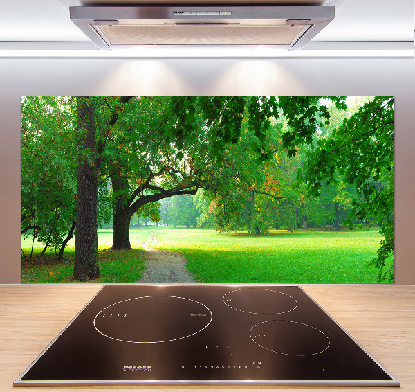 Glasrückwand für die küche Park im Herbst