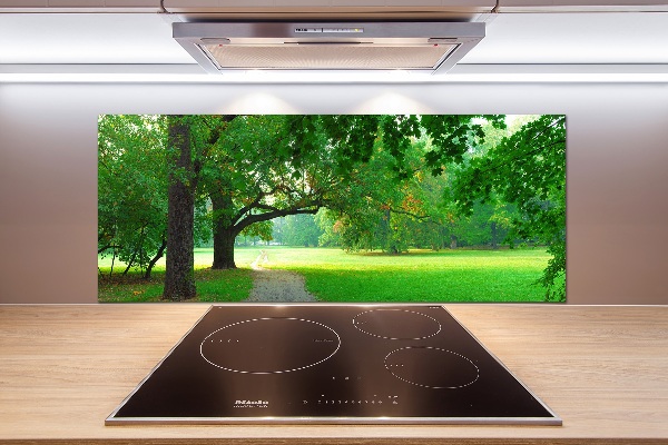 Glasrückwand für die küche Park im Herbst