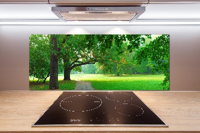 Glasrückwand für die küche Park im Herbst