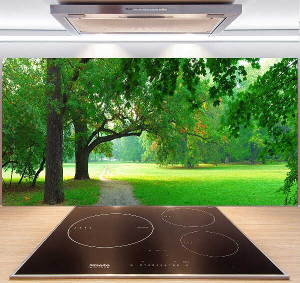 Glasrückwand für die küche Park im Herbst