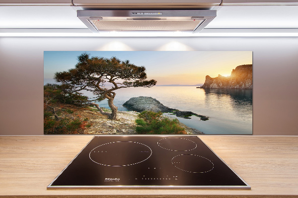 Platte für Küchenrückwand Ein Baum am Meer