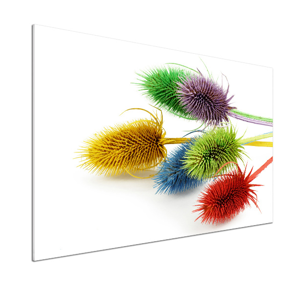 Küchen wandpaneel Distel