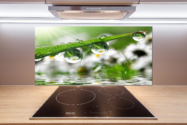 Glasrückwand für die küche Tropfen auf dem Gras