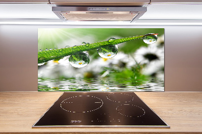 Glasrückwand für die küche Tropfen auf dem Gras