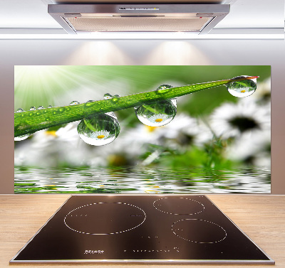 Glasrückwand für die küche Tropfen auf dem Gras