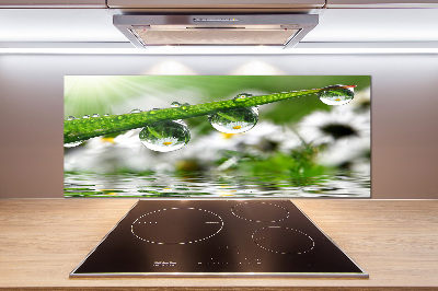 Glasrückwand für die küche Tropfen auf dem Gras