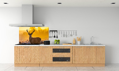 Glasrückwand für die küche Hirsch-Sonnenaufgang