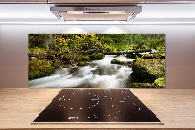 Küchen wandpaneel Olczyski-Bach