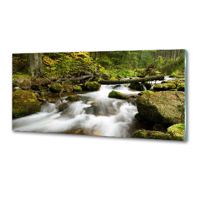 Küchen wandpaneel Olczyski-Bach