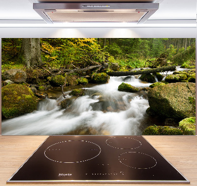 Küchen wandpaneel Olczyski-Bach