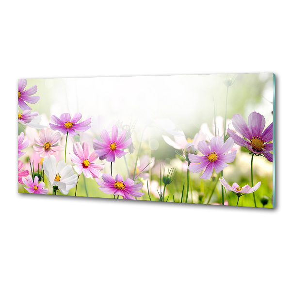 Platte für Küchenrückwand Blumen auf der Wiese