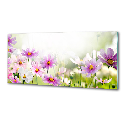 Platte für Küchenrückwand Blumen auf der Wiese