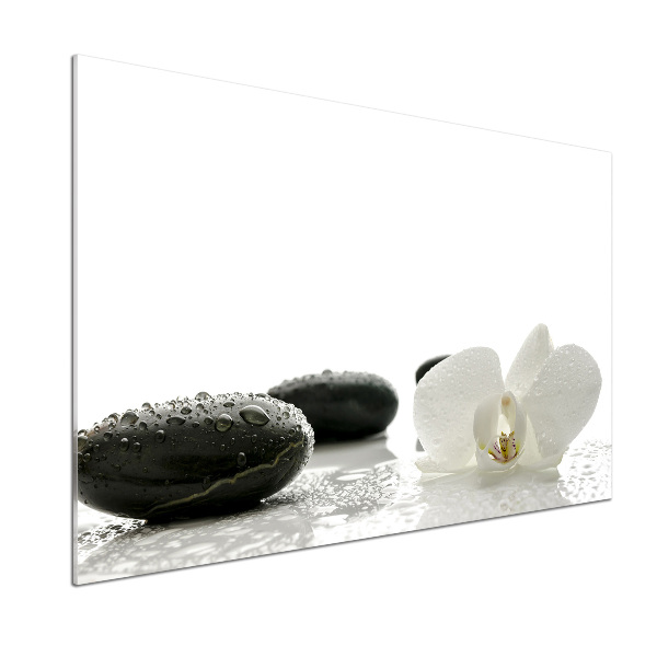 Küchen wandpaneel Orchidee