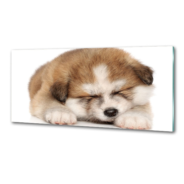 Küchen wandpaneel Akita-Welpe