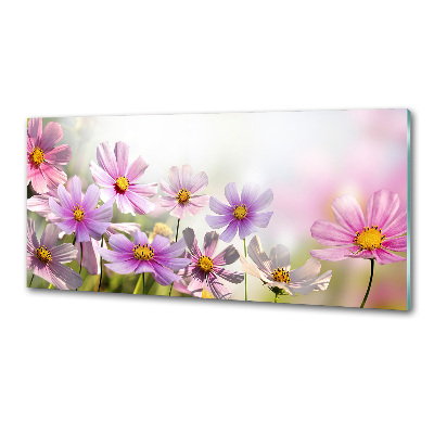 Platte für Küchenrückwand Blumen auf der Wiese