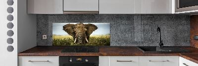 Glasrückwand für die küche Elefant in der Savanne