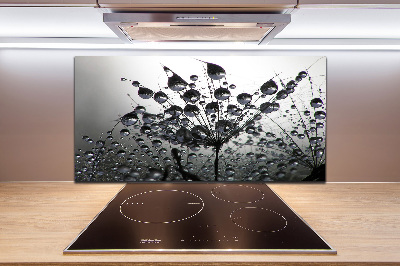 Glasrückwand für die küche Löwenzahnsamen