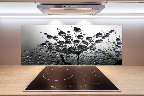 Glasrückwand für die küche Löwenzahnsamen