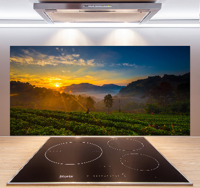 Küchen wandpaneel Teeplantage