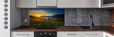 Küchen wandpaneel Teeplantage