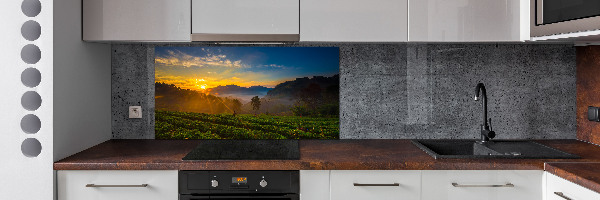 Küchen wandpaneel Teeplantage