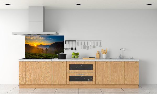 Küchen wandpaneel Teeplantage