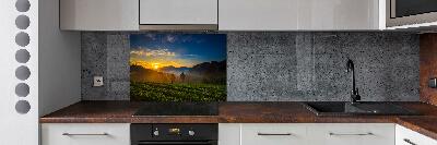 Küchen wandpaneel Teeplantage