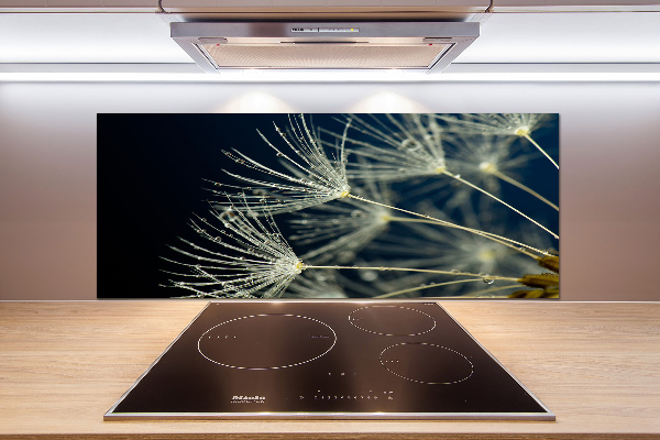 Küchen wandpaneel Löwenzahnsamen